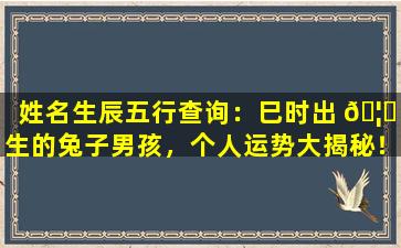 姓名生辰五行查询：巳时出 🦋 生的兔子男孩，个人运势大揭秘！